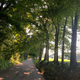 I should know by now to stop taking photos while I’m moving. Motion blur is only good when it’s deliberate.